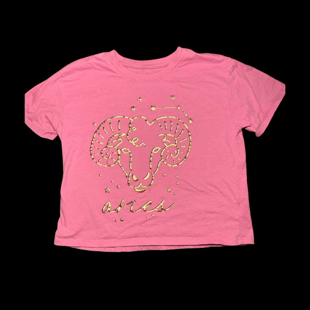 Whimsigoth Pink Aries Kids T-Shirt Size Girls 12/14
